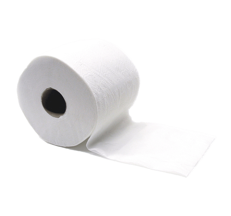 Toilet Paper 1 Toilet Paper