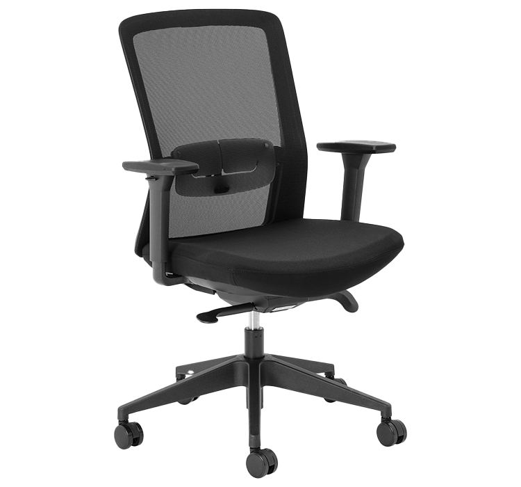 Aila Ergo Mid Back Chair