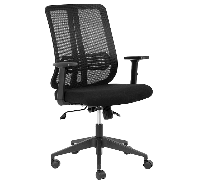Lenny Medium Back Chair
